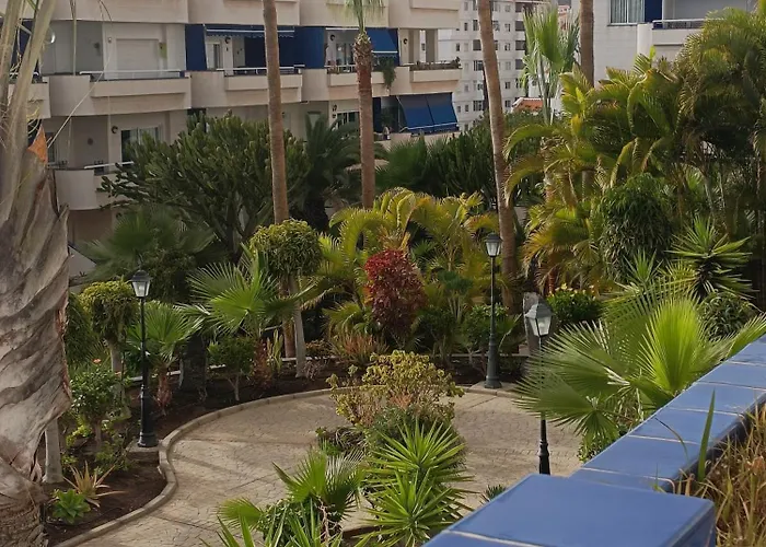 Residencia Playa Graciosa شقة